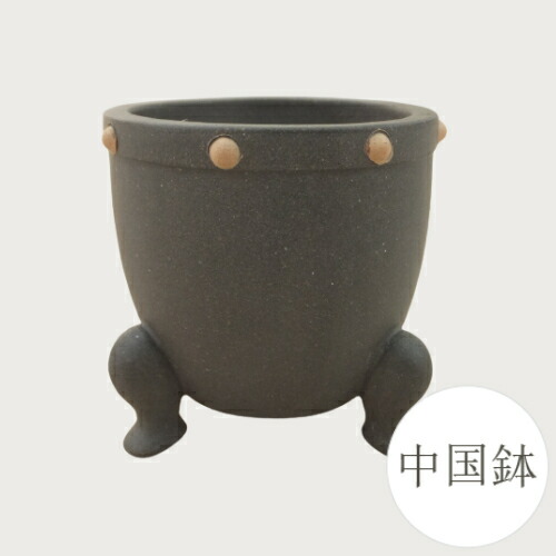 351 盆栽　盆栽鉢　植木鉢　中国鉢 楽天市場】【良品 アウトレットセール】和鉢 盆栽鉢 中国鉢