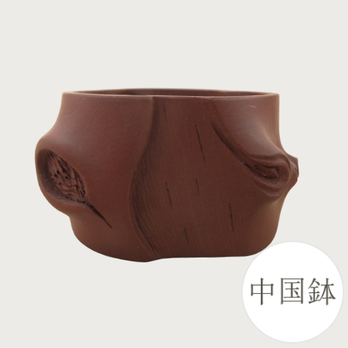 楽天市場】【良品 アウトレットセール】和鉢 盆栽鉢 中国鉢