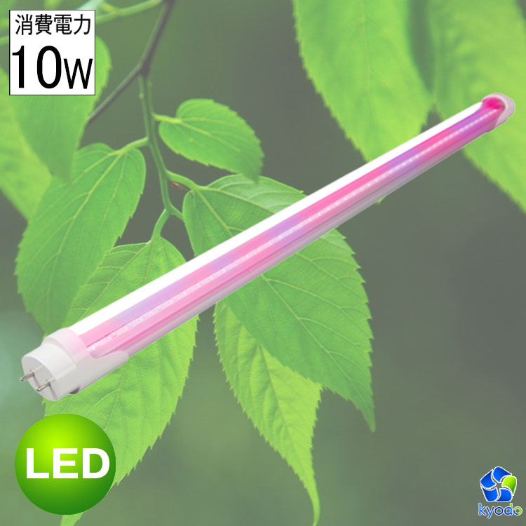 楽天市場 Led蛍光灯 20w形 直管 植物育成 蛍光灯 Led グロー式工事不要 サンプランター 水耕栽培ランプ 室内用 58cm 580mm G13 T8 園芸 共同照明led専門店