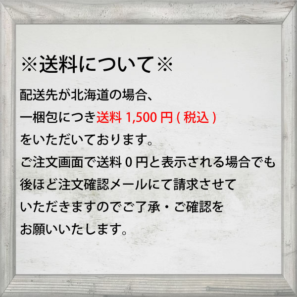 送料無料 かき氷機 スワン ミニ手動式氷削機 小さな南極(8-0911-0701