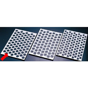 製菓用品・カッティングシート お菓子作り・道具 サーモ　クッキー　カッティングシート　菊型　47511　72ヶ取　(1-1136-0401)｜食器の通販 KYOEI