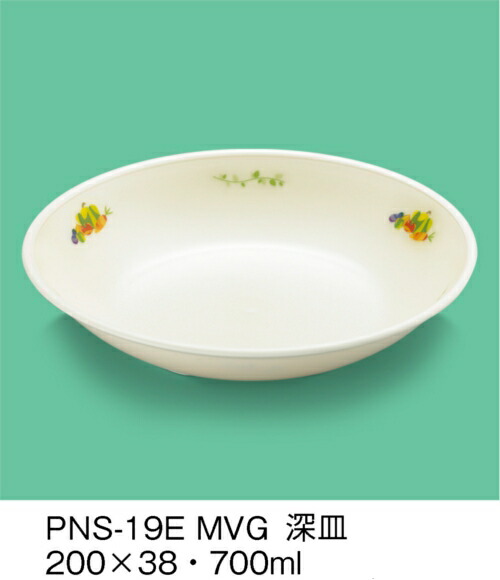sans-pns-19e-mvg.jpg