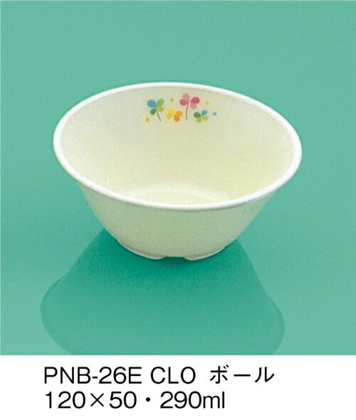 sans-pnb-26e-clo.jpg