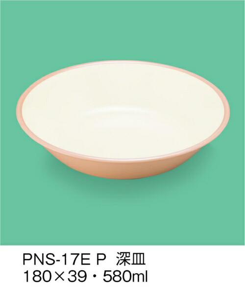 sans-pns-17e-p.jpg