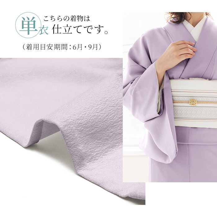 女単衣 東レ) 洗える着物 大きいサイズ コスプレ BL レディース L 日本
