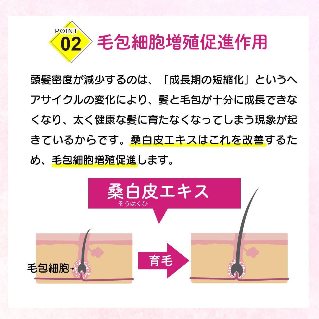 コシのなさ Kyogoku 男女兼用 無添加 抜け毛 予防 薄毛改善 キョウゴク