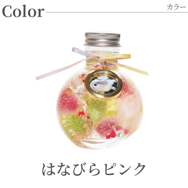 【あす楽16時まで】ペットメモリアルメモリアルグッズ『ふわふわメモリーハーバリウム』フォトフレーム犬お悔やみ贈り物ペット供養仏花プリザーブドフラワー仏壇ミニ造花命日お供え花一周忌お供え物49日贈り物喪中見舞い猫うさぎ文鳥インコ