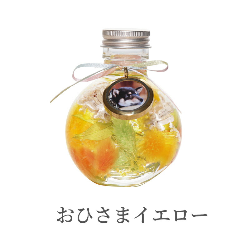 【あす楽16時まで】ペットメモリアルメモリアルグッズ『ふわふわメモリーハーバリウム』フォトフレーム犬お悔やみ贈り物ペット供養仏花プリザーブドフラワー仏壇ミニ造花命日お供え花一周忌お供え物49日贈り物喪中見舞い猫うさぎ文鳥インコ