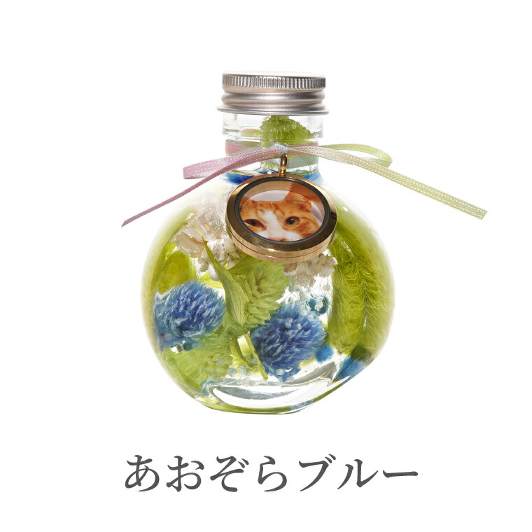 【あす楽16時まで】ペットメモリアルメモリアルグッズ『ふわふわメモリーハーバリウム』フォトフレーム犬お悔やみ贈り物ペット供養仏花プリザーブドフラワー仏壇ミニ造花命日お供え花一周忌お供え物49日贈り物喪中見舞い猫うさぎ文鳥インコ