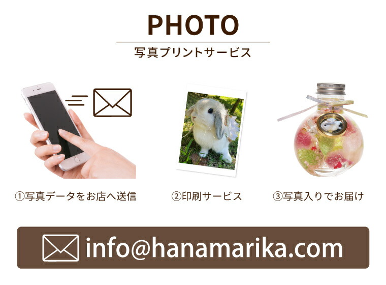 【あす楽16時まで】ペットメモリアルメモリアルグッズ『ふわふわメモリーハーバリウム』フォトフレーム犬お悔やみ贈り物ペット供養仏花プリザーブドフラワー仏壇ミニ造花命日お供え花一周忌お供え物49日贈り物喪中見舞い猫うさぎ文鳥インコ