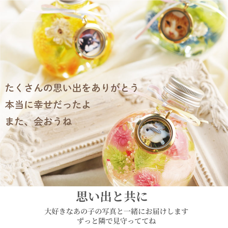 虹の橋のお手紙