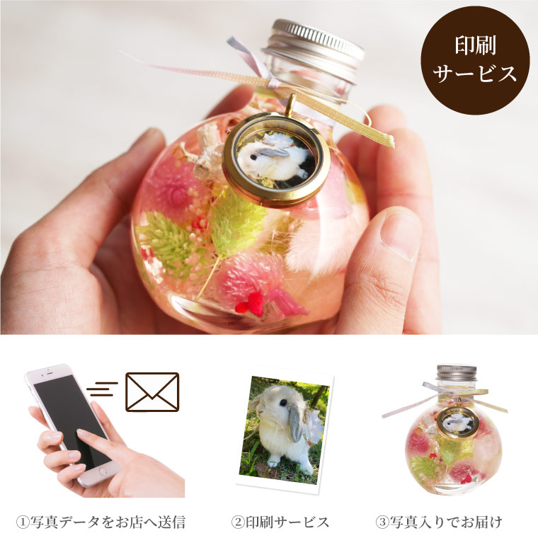 虹の橋のお手紙