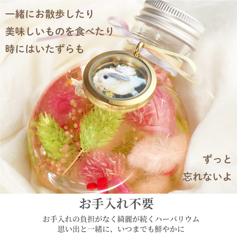 虹色