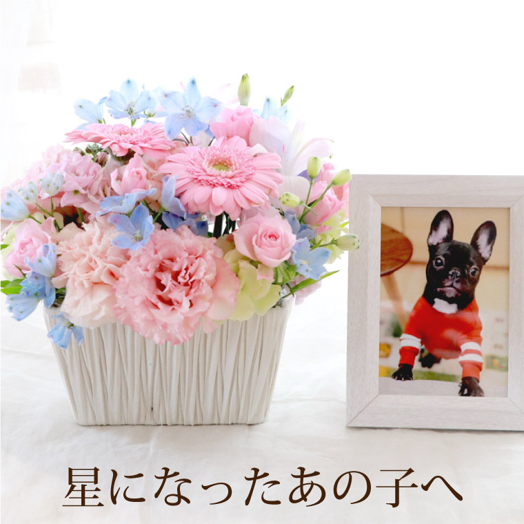 アレンジメント お供え ペット お盆 花 生花 星になったあの子へab 写真立て お花 犬 お悔やみ 贈り物 アレンジ 花束 かわいい お悔み 花 供養 花 お供え花 ペット用 供花 猫 仏壇用 お悔み アレンジ フラワーアレンジ 初盆 供物 お供え物 新盆 お彼岸