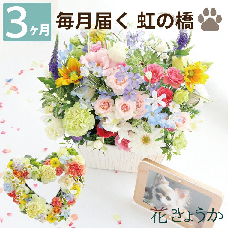 ペット お供え 花 生花 犬 猫 頒布会 『 虹の橋 定期便 ふかふかコース 3か月 』 送料無料 お供え花 アレンジ お悔やみ 贈り物 命日：FLEGRE-4号店-