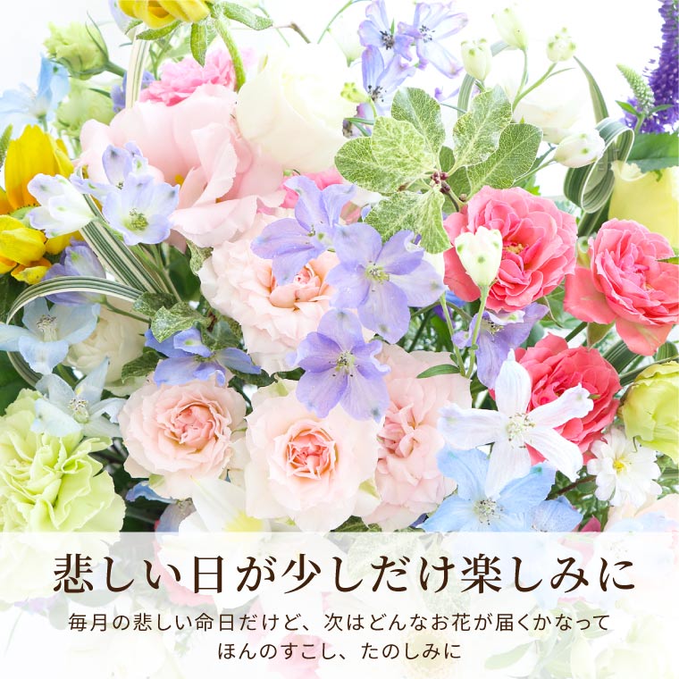 ペット お供え 花 生花 犬 猫 頒布会 『 虹の橋 定期便 ふかふかコース 3か月 』 送料無料 お供え花 アレンジ お悔やみ 贈り物 命日 激安売筋品