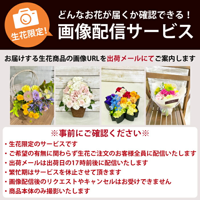 ペット お供え 花 生花 犬 猫 頒布会 『 虹の橋 定期便 ふかふかコース 6か月 』 送料無料 お供え花 アレンジ お悔やみ 贈り物 命日：FLEGRE-4号店-