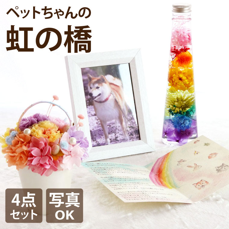 【逢い引き特定化可】 愛玩動物 供養 お供え 花 犬 お悔やみ 差し上げ物 『 虹の橋 トゥインクルプリザ＆シャイニー ハーＢａ 活動写真立て 仕掛ける 』 愛玩動物供養 メモリアル 映し絵一こま プリザーブドフラワー 仏花 ミニ お供物 差し上げ物 仏壇 仏具 パウダーコンパクト お涅槃