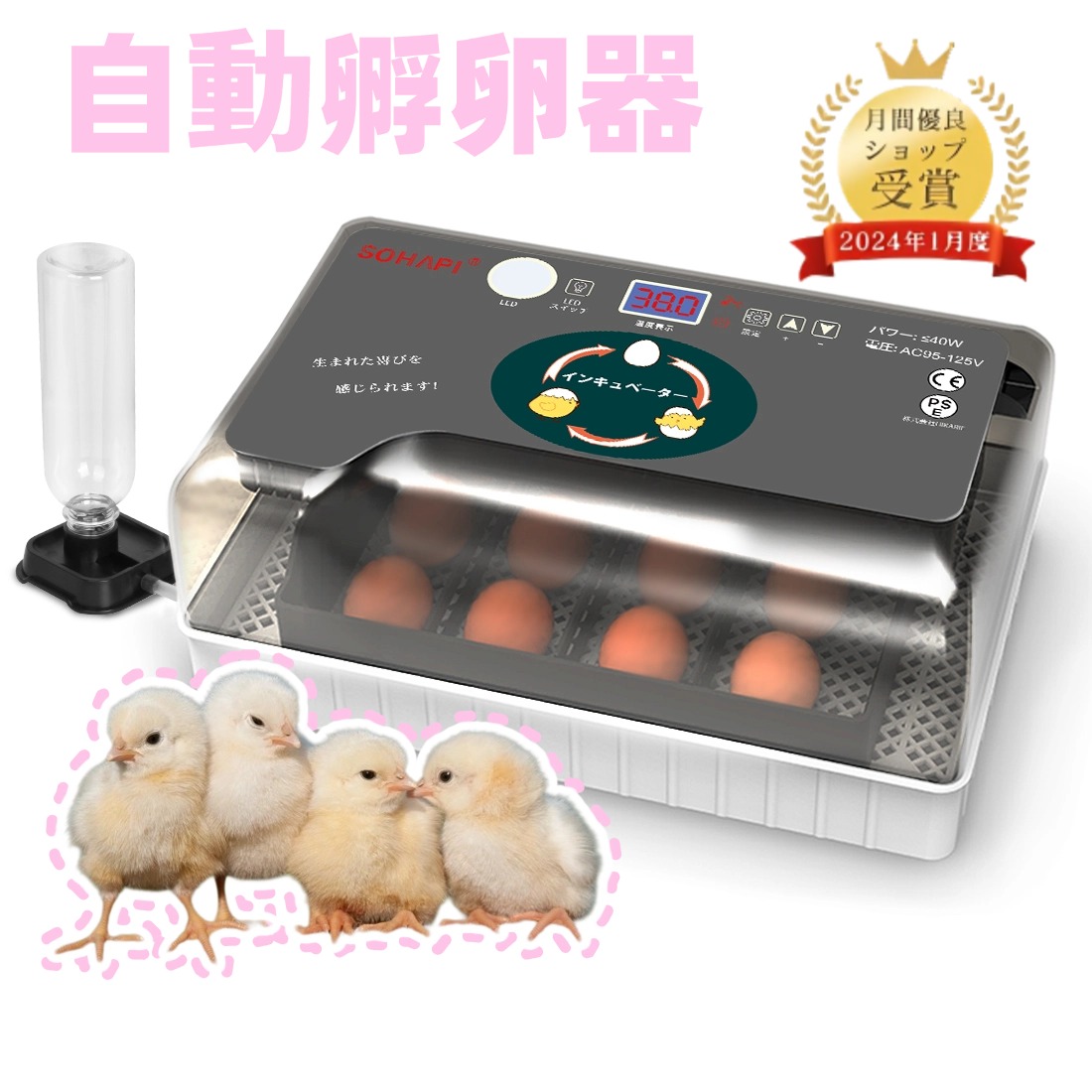 ‼️9/25まで20%off‼️多品種可能孵化器/孵卵器インキュベーター 楽天市場】鳥類全自動孵卵器 孵卵 ふ卵 孵化 ふ化 器 機 装置