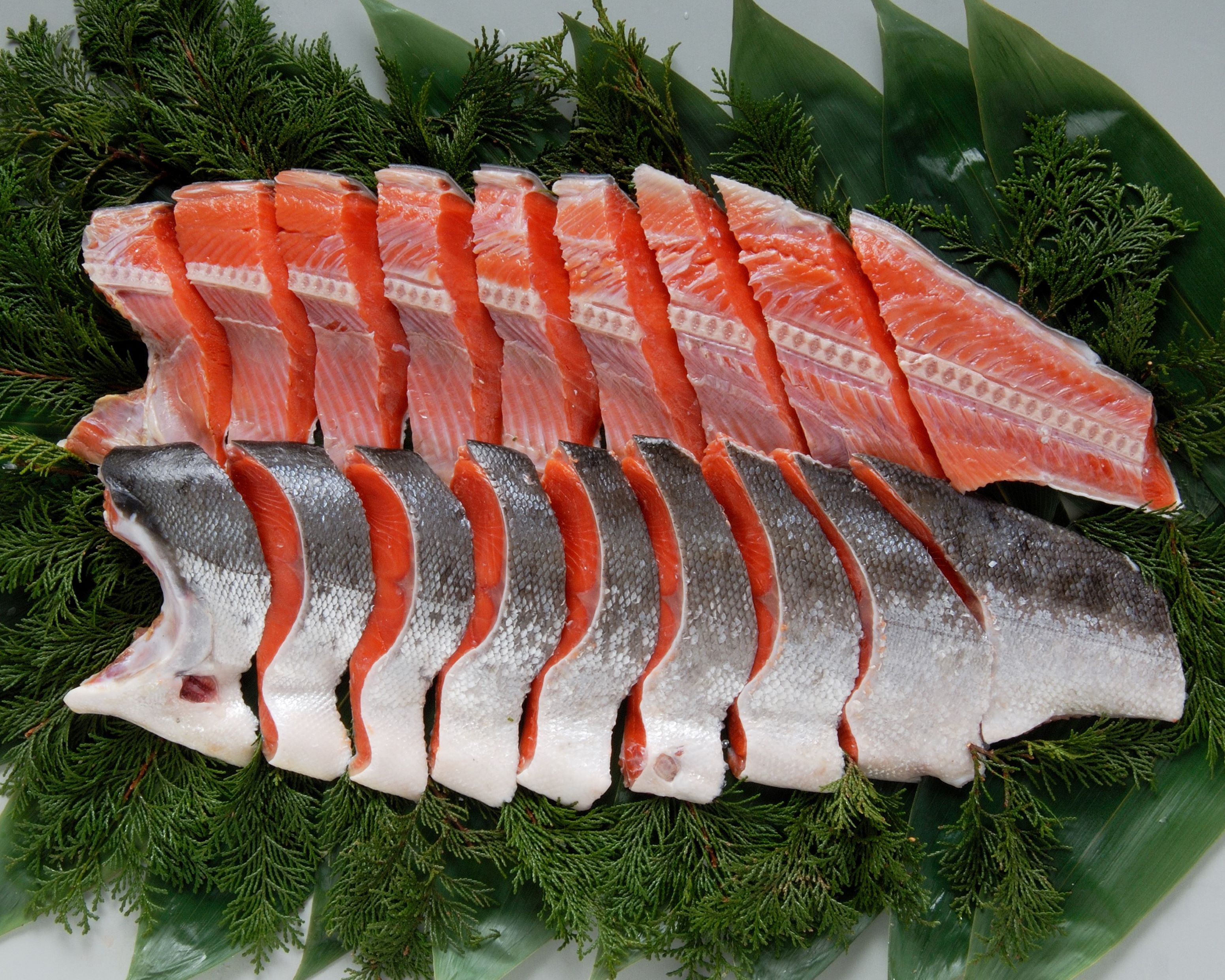 【楽天市場】贈答用【熟成紅鮭姿切身1.2キロ(頭なし)】ギフト 化粧箱入り 贈り物 鮭 紅鮭 魚 切身:北海道うまいもん物産