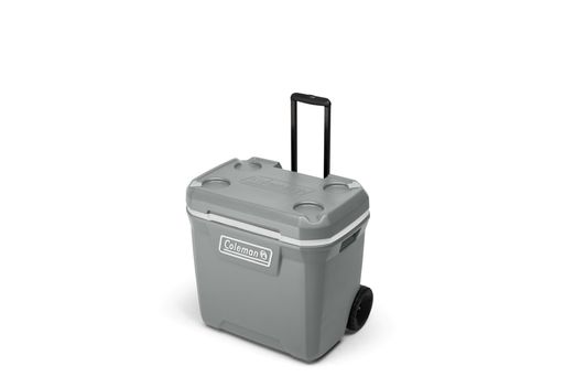Coleman(コールマン)クーラボックス316シリーズ65QTハードクーラー保冷力約5日約61Lキャンプアウトドア釣り防災運動会お花見部活暑さ対策