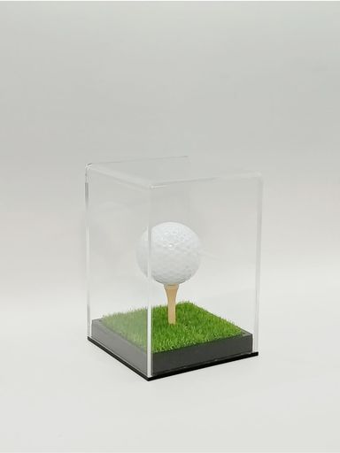 楽天市場】ダイヤゴルフ(DAIYA GOLF) ボールケース430 黒 AS-430