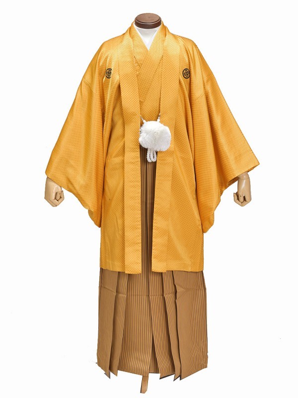 レンタル 男袴 紋附き袴 アダルトセレモニー袴 卒業式袴 嫁く式袴 紋付袴 丁年袴 紋付 満タン仕掛けるレンタル 送料無料 170cm 175cm 廉い 足袋贈品 アイデンティティーえじき Cjprimarycares Com
