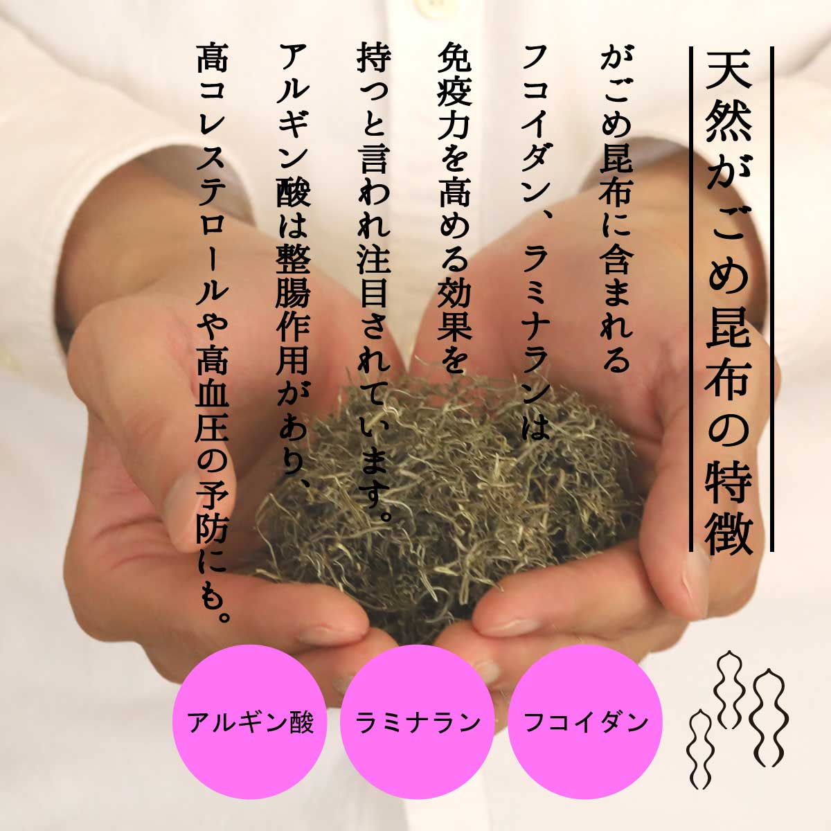 楽天市場 がごめ昆布 がごめこんぶ 北海道産 天然がごめ昆布 75g 2袋 刻みがごめ昆布 ねばねば昆布 納豆昆布 国産 フコイダン 昆布水 松前漬け 京のおだし 訳あり 昆布 自然派食品 京のおだし専門店