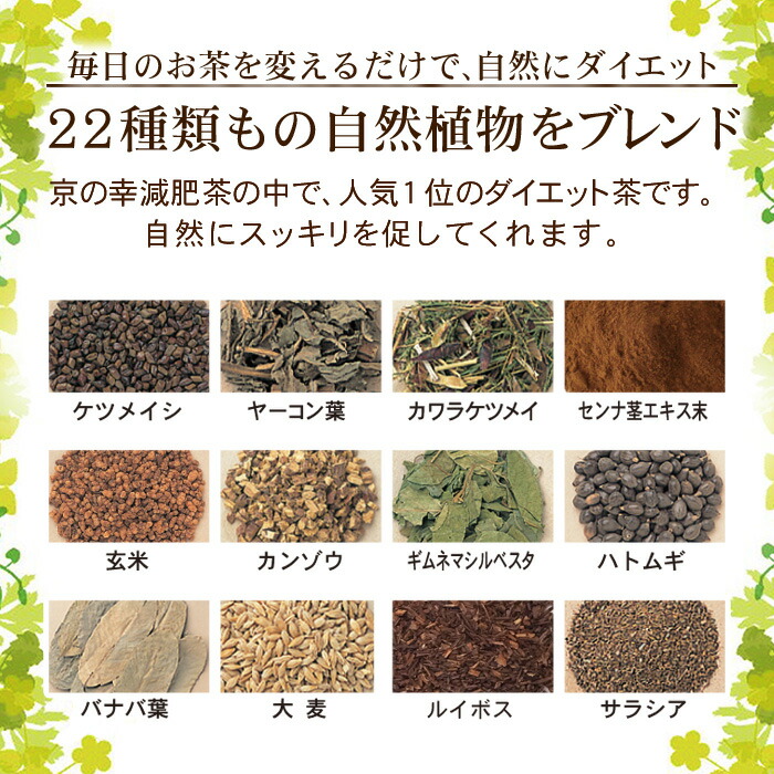 【送料無料】二十二減肥茶4ヵ月分120包(5g×60包×2袋)(自然植物100%安心安全健康健康食品ダイエットダイエット食品ダイエット茶痩せるむくみスッキリ新陳代謝デトックスセンナバナバ葉どくだみギムネマシルベスタ)