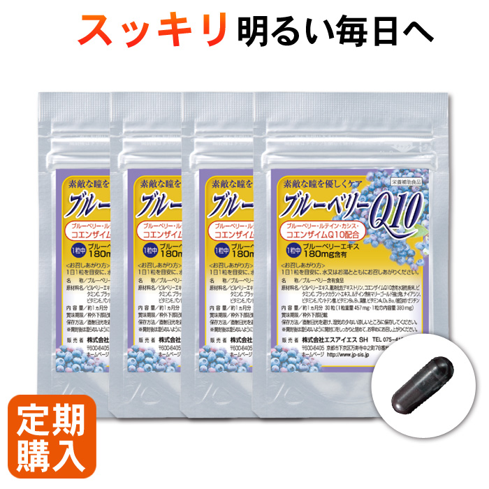 【定期購入】【初回500円OFF】ブルーベリーQ10 4ヵ月分 120粒 栄養補助食品 サプリメント 健康食品 視力 目の疲れ 目 瞳 コエンザイムQ10 ビルベリー ルテイン アントシアニン