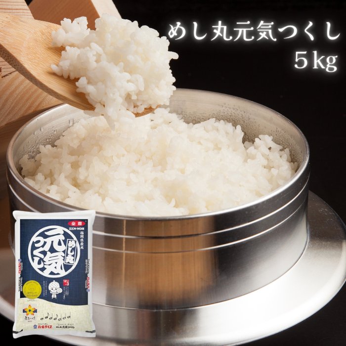 めし丸 元気つくし 5kg 在庫あり福岡県産米 白米 日本米 精米 （パッケージデザインが異なる場合がございます）【DD】