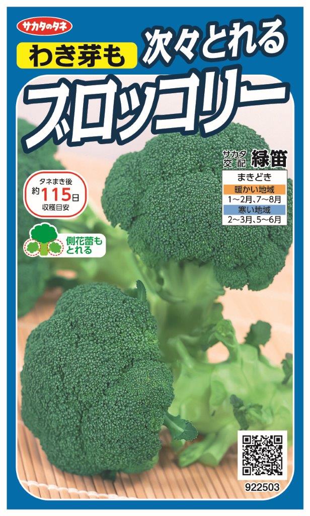 ぶろっこり　2着 楽天市場】ブロッコリー 冷凍 野菜 カット HZブロッコリーM