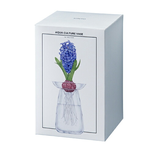 KINTO AQUA CULTURE VASE L キントー 花瓶 ガラス 水耕栽培 水栽培 アクアカルチャーベース Lサイズ ヒヤシンス アボカド 球根 多肉植物 サボテン 花器 フラワーベース おしゃれ シンプル 北欧 クリア