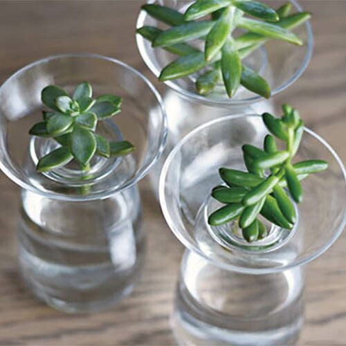 KINTO AQUA CULTURE VASE L キントー 花瓶 ガラス 水耕栽培 水栽培 アクアカルチャーベース Lサイズ ヒヤシンス アボカド 球根 多肉植物 サボテン 花器 フラワーベース おしゃれ シンプル 北欧 クリア