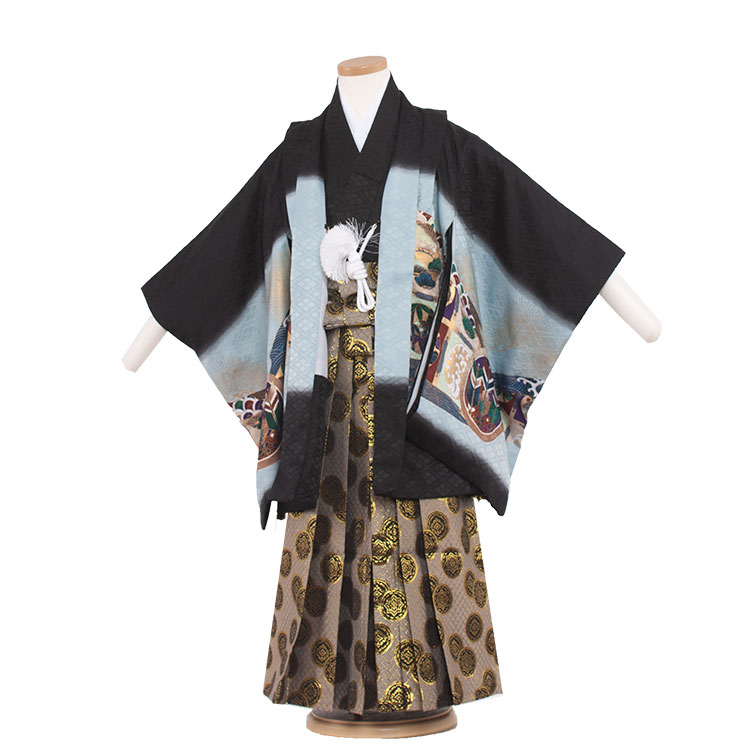 七五三 5歳 男の子 羽織袴 鷹 着付け簡単