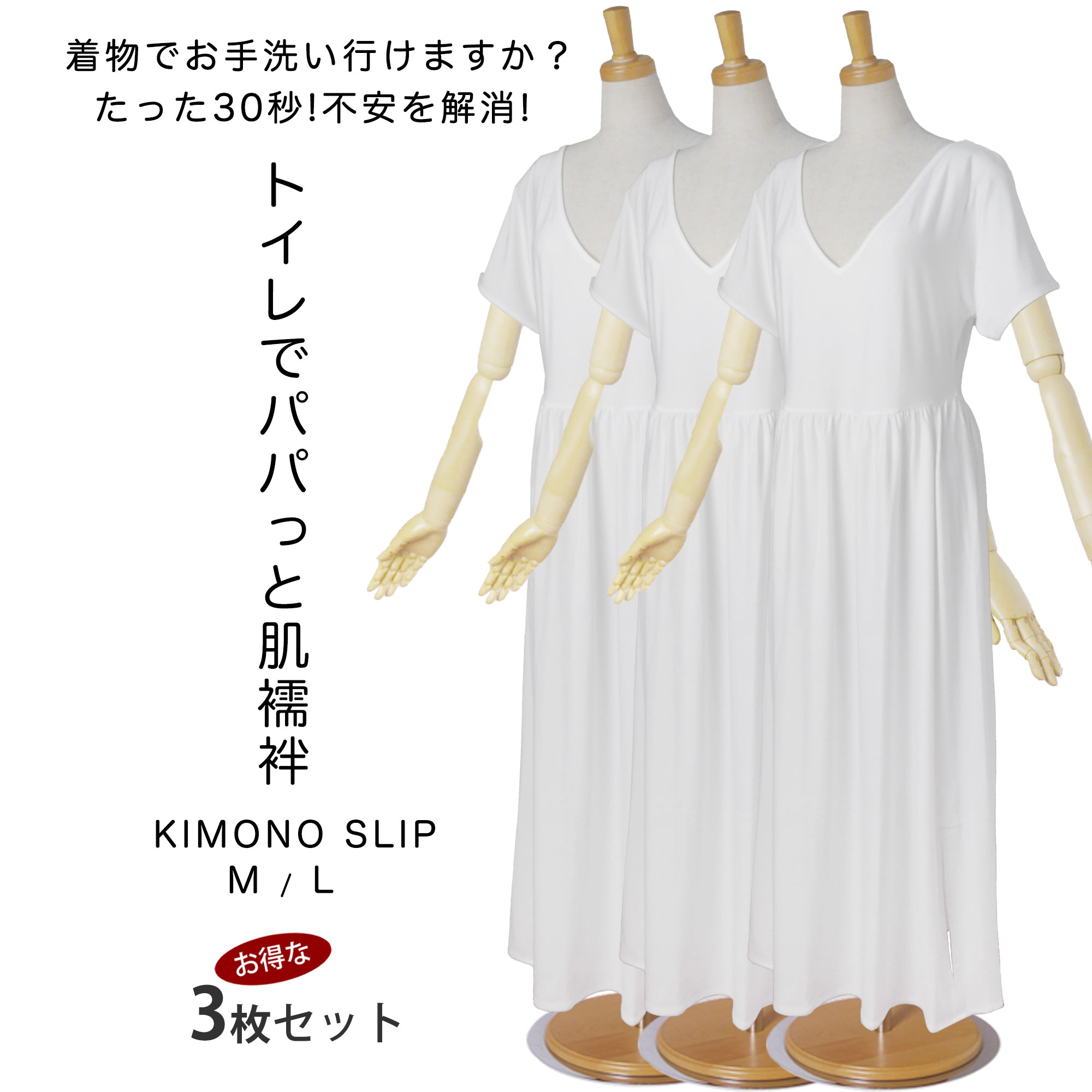 3pppslipinfo1.jpg