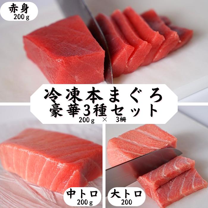 本マグロのみを使用！鮪屋おすすめ 魚屋おすすめ 本鮪 市場直送 マグロ屋  本マグロ 豪華セット マグロ まぐろ 200g 3柵 赤身 中トロ 大トロ ギフト箱なし  ギフト 贈呈 プレゼント お祝い ゴルフ賞品  母の日 父の日 honmaguro-set