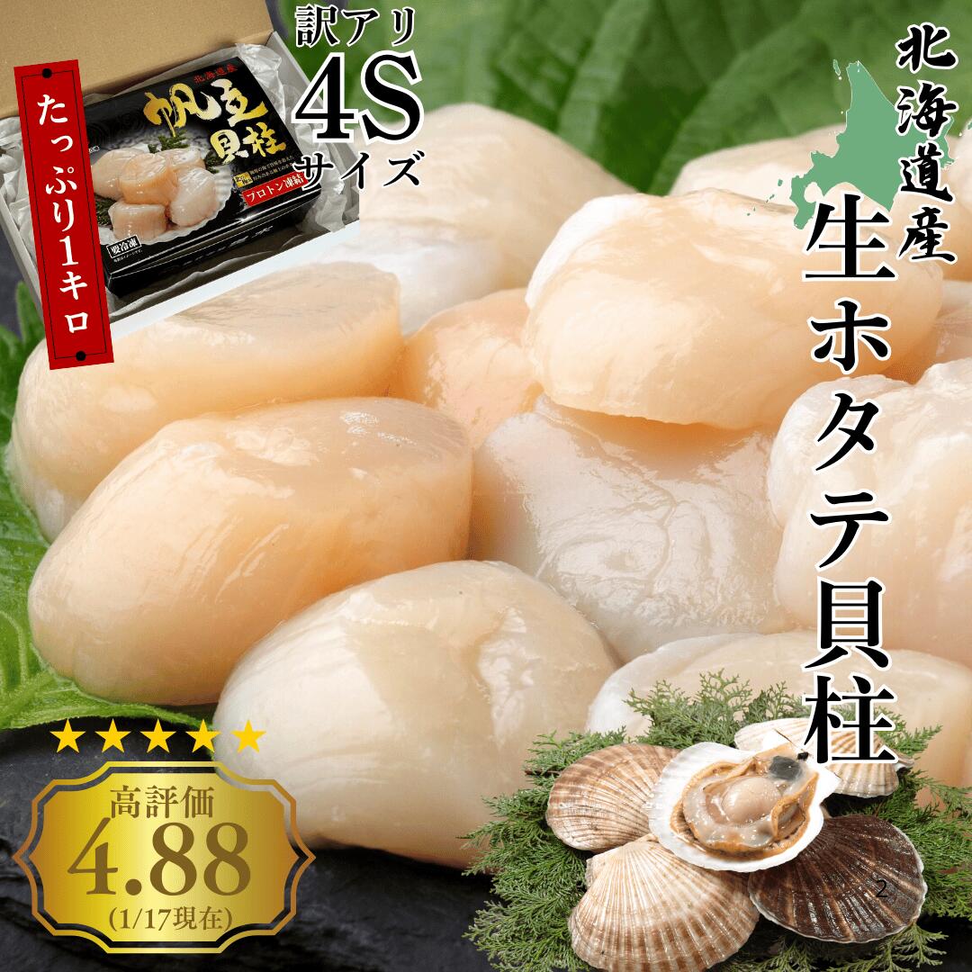 大きな貝約100歳　約40 × 30 × 15センチ￼￼ 大きな貝約100歳 約40 × 30 × 15センチ￼￼ 【公式通販】
