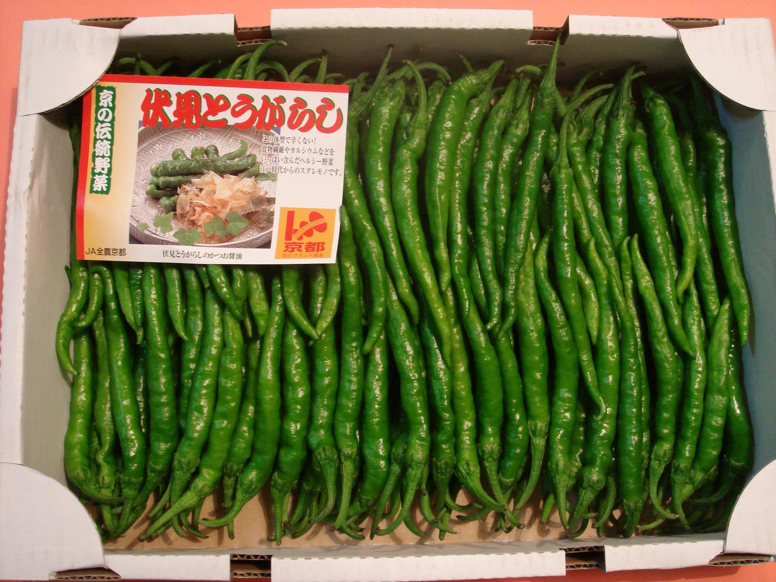 京都中央卸売市場中西青果仲卸直送だから新鮮！京野菜仲卸中西青果店主厳選最高品伏見甘長とうがらし1kg(一般的に辛くなく甘みのあるとうがらし)ふしみあまながとうがらし、伏見唐辛子、伏見とうがらし