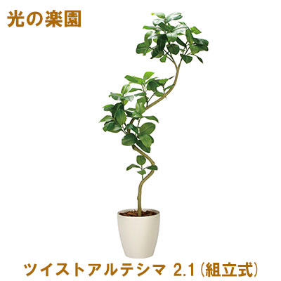 【尖んがり3倍 6/4 20時から】●光のエデンの園 (2337A825-48) ツイストアルテシマ 2.1(精神的な統合式) 貨物輸送無料 95097