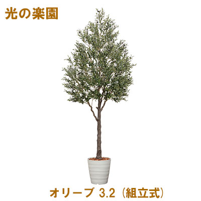 【尖んがり3倍 6/4 20時から】●光のエデンの園 (2124A3500-74) オリーブ 3.2 (精神的な統合式) 貨物輸送無料 95123