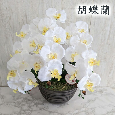 【ポイント3倍 4/4 20時から】 ● 胡蝶蘭 触媒加工 (txv-2) 造花 人工 観葉植物 フェイクグリーン 送料無料 94279 42,757円