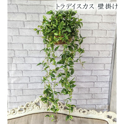 【ポイント3倍 4/4 20時から】 ● トラデイスカス 壁掛け (gkp-1) 造花 人工 観葉植物 フェイクグリーン 送料無料 94283