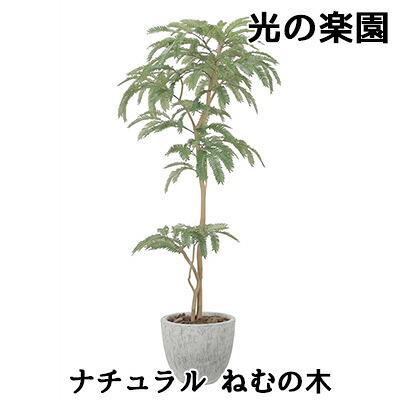 【尖んがり3倍 6/4 20時から】● 光のエデンの園 (2517A570) 自然的 ねむの木 造花 人工 観葉草木 フェイクグリーン光触媒 貨物輸送無料 94307