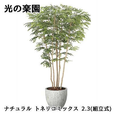 【尖んがり3倍 6/4 20時から】● 光のエデンの園 (2607A1850) 自然的 秦皮 入り合わせる 2.3(精神的な統合式) 造花 人工 観葉草木 フェイクグリーン光触媒 貨物輸送無料 94310