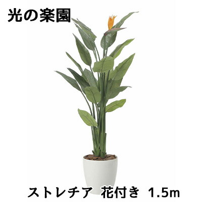 【尖んがり3倍 6/4 20時から】● 光のエデンの園 (2565A500) ストレチア 花付き添い人 1.5m 造花 人工 観葉草木 フェイクグリーン光触媒 貨物輸送無料 94315