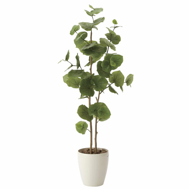 観葉植物 造花 人工観葉植物 おしゃれ 新築祝い 送料無料 光触媒人口植物 開店祝い 誕生日 造花 送料無料 シーグレープ1 25 アレンジメント かわいい 光の楽園 615a180 50 京都のちょっとセレブなお店r店