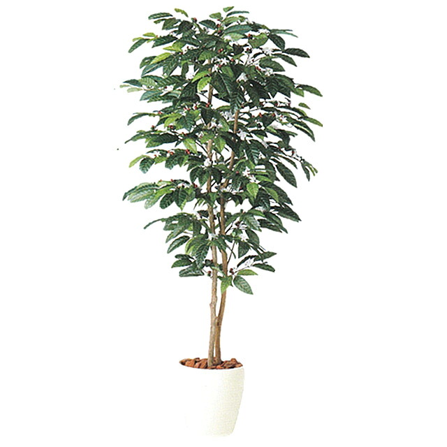 【尖んがり3倍 6/4 20時から】●【98989】光触媒 コーヒーの木 人工観葉草木 触媒製作あり 貨物輸送無料 92880