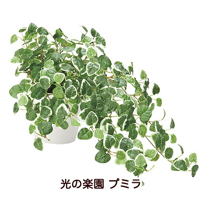 【 ポイント5倍 要エントリー 7/19 20時~ 】 ●光の楽園 (557H70-67) プミラ 送料無料 94150|京都のちょっとセレブなお店R店