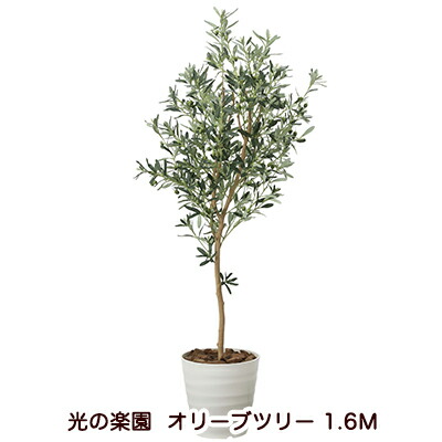 造花 光触媒人口植物 かわいい 1 6ｍ 新築祝い アレンジメント 造花 人工観葉植物 光の楽園 誕生日 おしゃれ 造花 開店祝い 観葉植物 京都のちょっとセレブなお店r店 送料無料 22a300 42 オリーブツリー 1 6ｍ